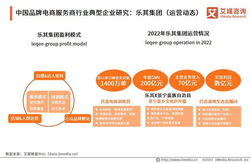 2023年中国品牌电商服务商行业研究报告 信息技术咨询服务的机遇与挑战