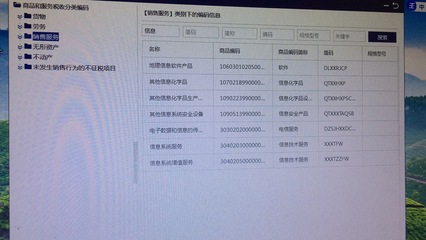 个体工商户开具发票时，信息技术咨询服务与信息系统服务的区别